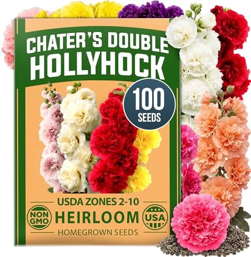 HOME GROWN Hollyhock Seeds, Chater's Double Mix, 100 Seeds, Alcea rosea by HOMEGROWN