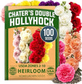 HOME GROWN Hollyhock Seeds, Chater's Double Mix, 100 Seeds, Alcea rosea by HOMEGROWN