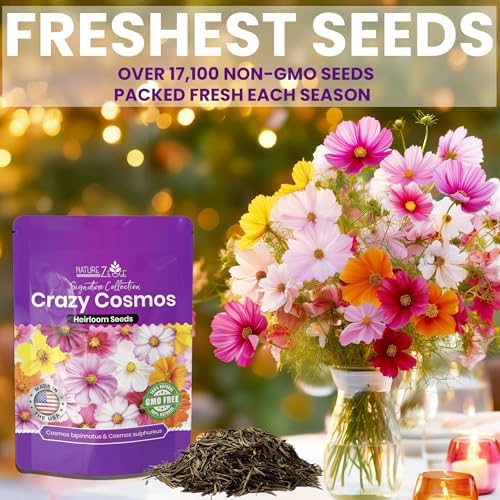 NatureZ Edge, Crazy Cosmos Seeds for 2026, 17,100 Cosmos Seed, 1/4 lb, Made In USA, Annual Cut Flowers, Wildflower Seeds Bulk for Planting Flowers, Wild Flowers Seed Throw and Grow, semillas de flores - Image 4