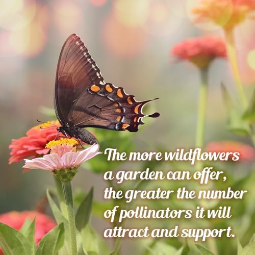 BBB Seed Monarch Butterfly Wildflower Seeds, Milkweed Mix, 1 oz (Pack of 2) - Image 5