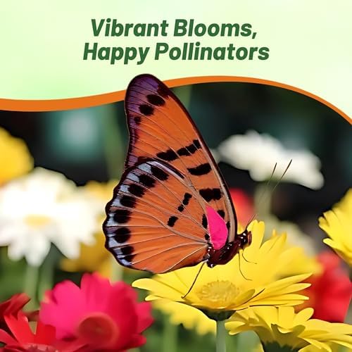 Outsidepride Colorbloom Mix Gerbera Seeds - 10 Pcs Perennial, Compact & Low Maintenance, Flower Seeds for Planting w/Vibrant Mixed Blooms, Ideal for Garden Landscaping & Cut Flower Arrangements - Image 6