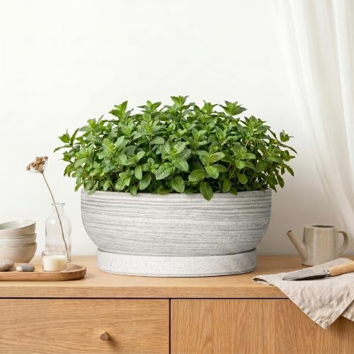 13 Inch Ceramic Bonsai Pots with Saucer, Brushed Grey - Image 6