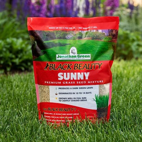 Jonathan Green Black Beauty Sunny Grass Seed - 1 lb - Image 3