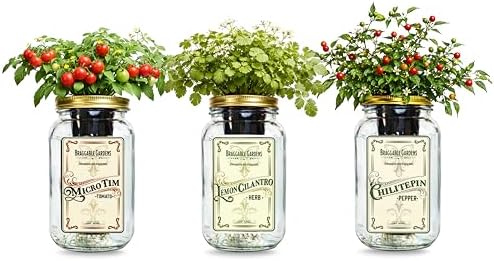 Salsa Garden Mason Jar Grow Kit (3 Pack) – Tiny Tim Tomato, Lemon Cilantro & Chiltepin Pepper – Indoor Hydroponic Herb & Vegetable Grow Kit – Windowsill Salsa Ingredient Garden by BraggableGardens