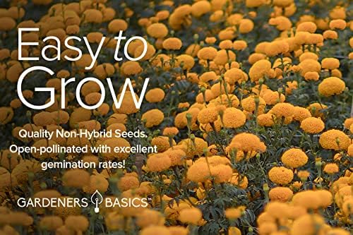 Gardeners Basics, Marigold Seeds for Planting Outdoors (4 Variety Pack) French Marigold Petite Mix, Dainty Marietta, Sparky, and African Marigold Seeds Crackerjack for Pollinators Wildflower Seed - Image 6
