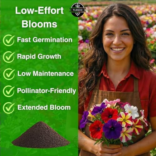 Petunia Seeds for Planting, 5500+ Seeds, Petunia Grandiflora - Image 4