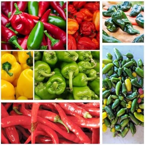 Hot and Sweet Pepper Seeds Collection, 8 Varieties, Jalapeno, Habanero, Bell Pepper, Cayenne, Hungarian Wax, Anaheim, Serrano, Poblano Vegetable Planting by BuggyBeds