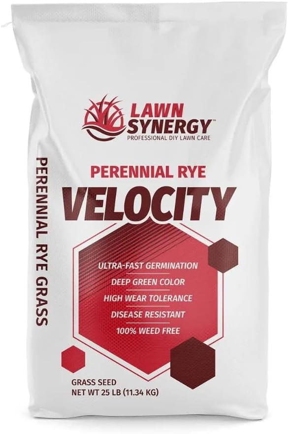 Velocity™ Perennial Rye Grass Seed (10LBS) — Fast-Germinating Cool-Season Turf for Overseeding Lawns, Sports Fields & Golf Courses — Dark Green Winter Color by LawnSynergy