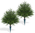 2 Pack 23" Artificial Cedar Topiary Ball Trees with Ground Spike by LivingGreenEveryDayShine