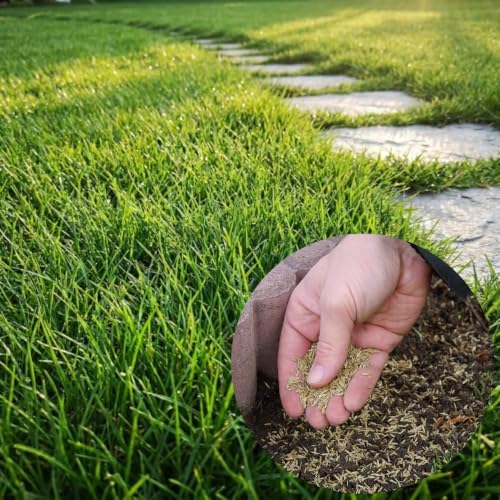 Zoysia Grass Seeds, Emerald Zoysia, 20000 Count by Unknown