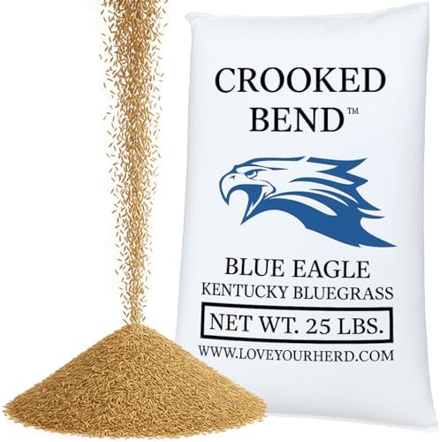 Blue Eagle Kentucky Bluegrass Seed, 25LB Bulk Bag, Uncoated & No Fill, Grow Beautiful & Best Yards, Thicken Lawns & Turf Fields, Growing Dark Green Organic Grass Carpet, Cold Tolerant by CrookedBend
