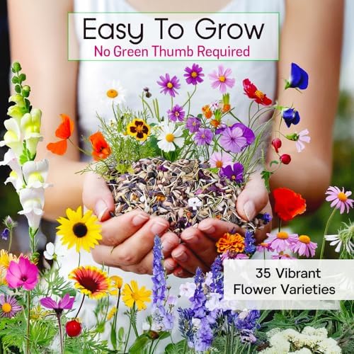 NatureZ Edge Wildflower Seeds Mix – 2 Oz, 85,000 Seeds, 35 Variety Perennial & Annual Flower Seeds to Plant Outside, Bulk Wildflower Seeds, Wild Flower, Semillas de Flores - Image 2