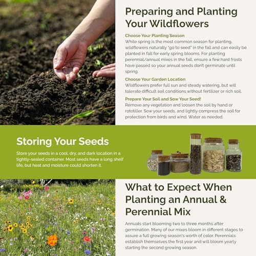 Eden Brothers Maine Wildflower Mixed Seeds for Planting, 1 oz - Image 5