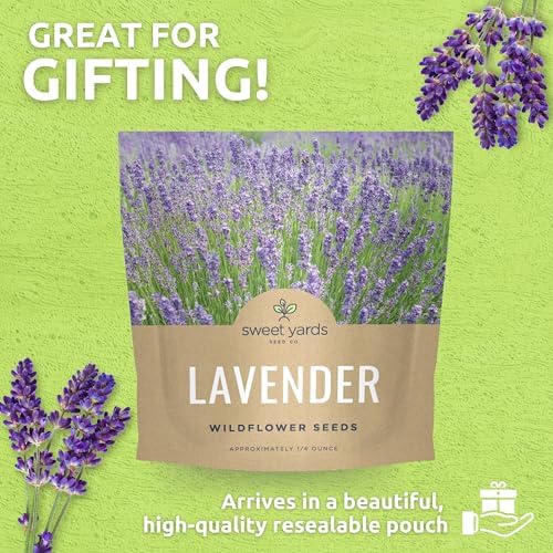Lavender - Large 1/4 Ounce Packet - 7,000 Flower Seeds for Planting - Lavandula angustifolia - Image 6