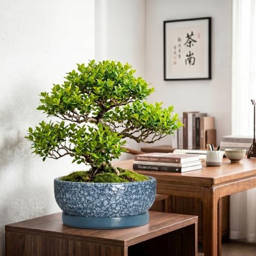 Bonsai Pots 13 Inch, Ceramic Succulent Planter with Tray, Scale Blue - Image 3