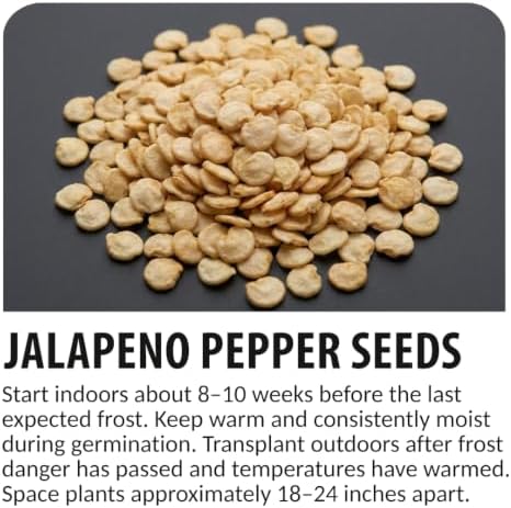 100 Jalapeno Pepper Seeds | Hot Peppers | Vegetable Seeds for Planting - Image 5