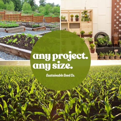 Mountain Valley Seed Co Southwest Wildflower Mix Seeds 7 Gram ~30 Seeds - Image 5