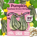 SVI 35 Cushaw Green Striped Pumpkin Seeds (Cucurbita mixta) – Cushaw Squash, Non GMO Winter Squash Seed Packets – Heirloom Vegetable Seeds for Planting Outdoors in Home Garden & Raised Beds by SVI
