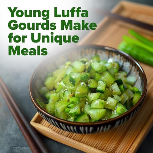HOME GROWN Luffa Loofah Gourd Seeds, 80+ Seeds, Luffa aegyptiaca - Image 4