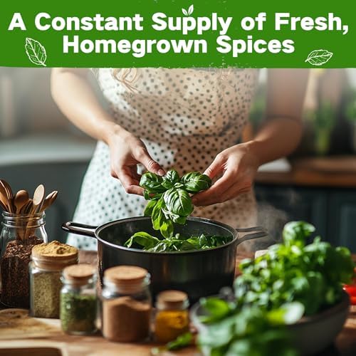 Lush&Dew Culinary Herbs Garden Seed Bank, Gardening Gifts for Women Men - Image 4