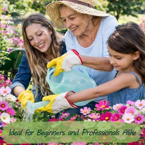 Cosmos Seeds for Planting, 1000+ Heirloom Non-GMO Double Flower Mix, Large Colorful Annual Blooms for Cut Flowers, Garden Beds, Borders and Bouquets - Image 6