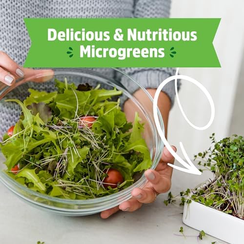 Back to the Roots Organic Microgreens Grow Kit with Ceramic Planter, Expandable Soil, Organic Seeds, and Germination Lid - Image 6