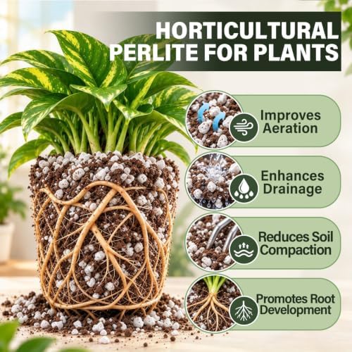 4QT Organic Perlite For Plants Indoor, Horticultural Soil Amendment - Image 2