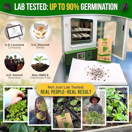 Organo Republic Onion Leek Seeds Pack 1G - Over 375 Non-GMO Heirloom Onion Seeds for Planting Vegetables in Individual Seed Packet, Vegetable Seeds for Planting Home Garden Indoor & Outdoor Gardening - Image 2