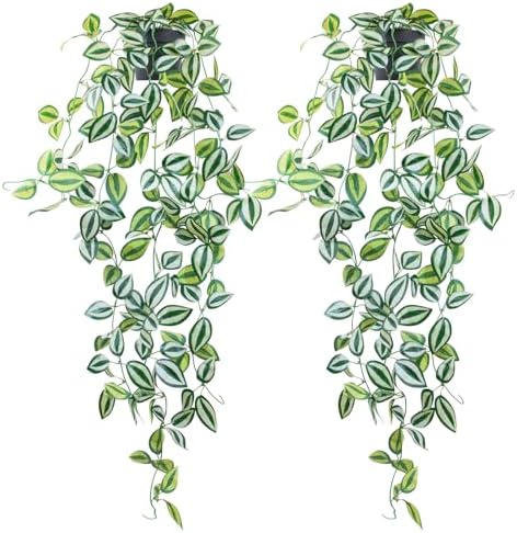 LOYWREE 2 Pack Fake Hanging Plants - Small Potted Plants with Green Eyebrow-Leaf Trailing Vines, Indoor Outdoor Aesthetic Decor for Office, Living Room Shelf & Home Accent (Black Pot) by Unknown