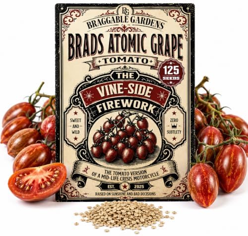 Brad’s Atomic Grape Tomato Seeds, Eye-Catching Tomato Seeds for Planting, Vegetable Garden Seeds, Sweet Rich Flavor, Striped Elongated Tomatoes for Home Garden & Outdoor Planting by BraggableGardens