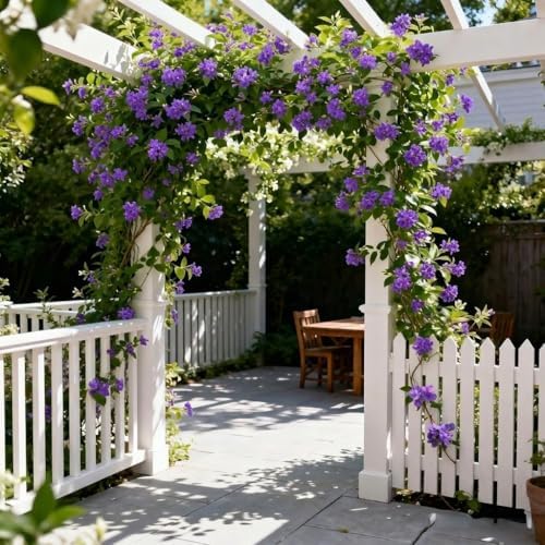110+ Climbing Jasmine Seeds, Fragrant Perennial Flowering Vine for Outdoor Garden Trellis, Aromatherapeutic Jasminum Officinale Plants for Vertical Gardening - Image 4