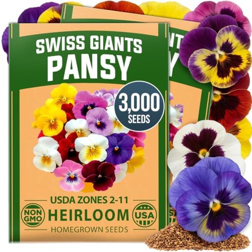 HOME GROWN Swiss Giant Pansy Seeds, 3000 Seeds, Viola by HOMEGROWN