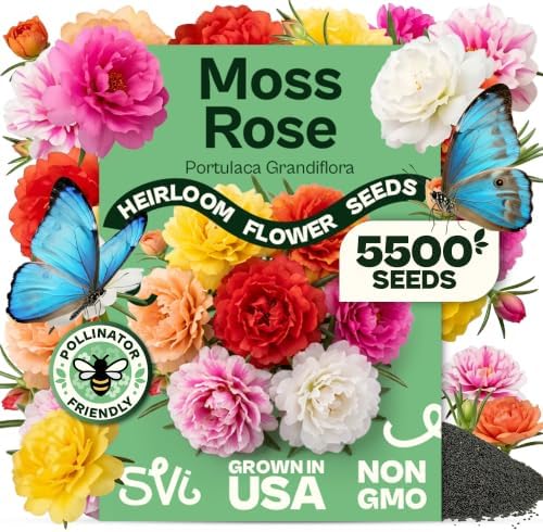 SVI 5500 Moss Rose Non GMO Heirloom Flower Seeds, Portulaca grandiflora by SVI