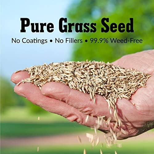 GreenView Pure Grass Seed Sunny Mixture, 20 lb. Bag - Image 4