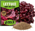 1,040+ Red Leaf Lettuce Seeds for Planting - Heirloom Non-GMO by Axel%27s+Garden+Seeds