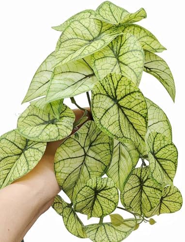 Reptile Plants for Terrarium,Habitat Decor, Hanging Plant with Suction Cup - Image 2