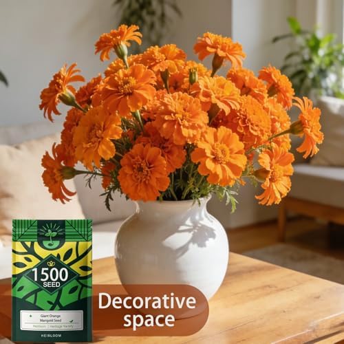 Orange Marigold Seeds for Planting, 1500 Flower Seeds, Pollinator-Friendly - Image 4