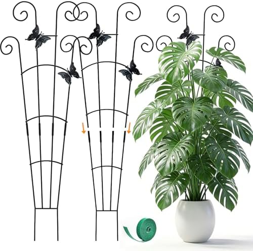 Monstera Plant Support - 32.6 Inch Tall Trellis with 2 Pack Plant Stakes for Your Large Climbing Monstera Deliciosa | Indoor Plant Climbing Frame for Potted Growth by LLCJYYCY