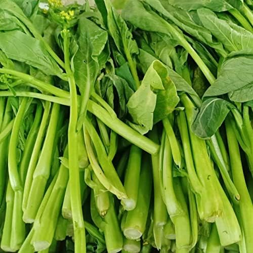 SE5 Natural Green 1 Bag 200 Seeds Cabbage Vegetables Chinese Delicious - Image 6