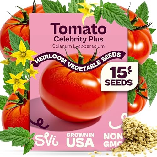 SVI 15 Plus F1 Celebrity Tomato Seeds (Solanum lycopersicum) – Heirloom Tomatoes Seed Packets, Slicing Tomatoes, Tomato Seed – Vegetable Seeds for Outdoor Home Garden Raised Beds, Containers by SVI