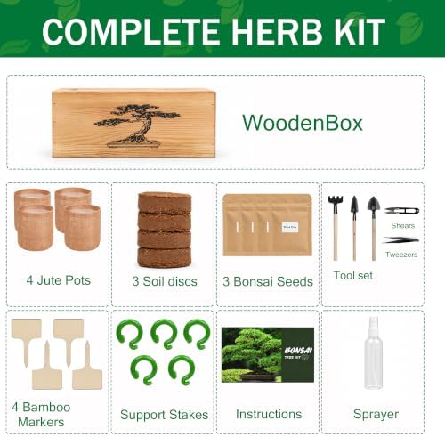 Bonsai Tree Starter Kit for Gardening Lovers Beginners - Image 2