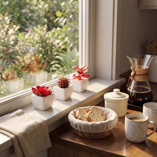 MyGift Assorted Artificial Red Succulent Plants, Mini Fake Desert Plants in White Square Pots, Set of 3 - Image 2