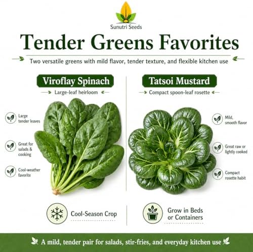 Salad Greens Variety Pack Seeds – 9 Heirloom Leafy Green Vegetable Seeds | Lettuce Kale Spinach Arugula Collards Beet Greens Mustard Cress for Raised Beds Containers Garden - Image 5