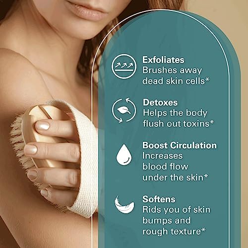 Firm Dry Brush for Body, Firming & Exfoliating Body Brush by M3 - Image 3