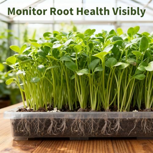 RooTrimmer Clear Seed Starter Trays 5 Pack(17"x11"x2"), Reusable Plastic Carrying Seedling & Nursery Trays, Durable Flat Pots Trays, Transparent Square Tray for Planting and Collecting Drainage Water - Image 3