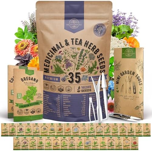 35 Medicinal & Tea Herb Seeds Variety Pack for Indoor & Outdoors. 16,335+ Non-GMO Heirloom Garden Seeds: Anise, Bergamot, Borage, Cilantro, Chamomile, Dandelion, Rosemary Seeds & More by OrganoRepublic