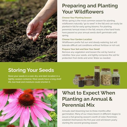 Eden Brothers Heirloom Flower Mixed Seeds for Planting, 1/4 lb, 120,000+ Seeds with Zinnia, Toadflax, Evening Primrose | Attracts Pollinators, Plant in Spring or Fall, Zones 3, 4, 5, 6, 7, 8, 9, 10 - Image 5