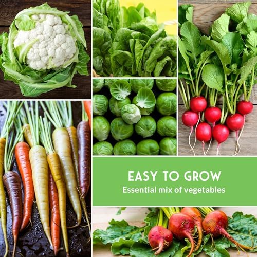 Fall Vegetable Seed Variety Pack for Planting - Image 5