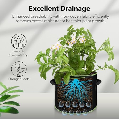 BN-LINK 10-Pack 5 Gallon Grow Bags, Heavy Duty Aeration Fabric Pots with Handles, Thickened Nonwoven Plant Bags for Vegetables, Flowers, Fruits - Image 4