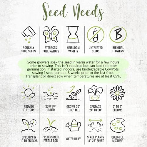 Seed Needs Flower Seeds to Plant Carnival Hollyhock Mix - Bulk Pack - Image 7